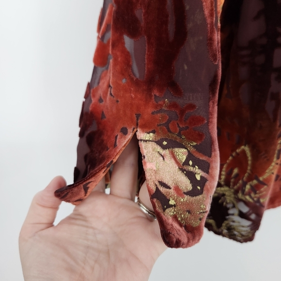 Due Per Due Womens Velvet Burnout Top Size 8 Brown Silk Blend Contemporary Artsy - Picture 5 of 9